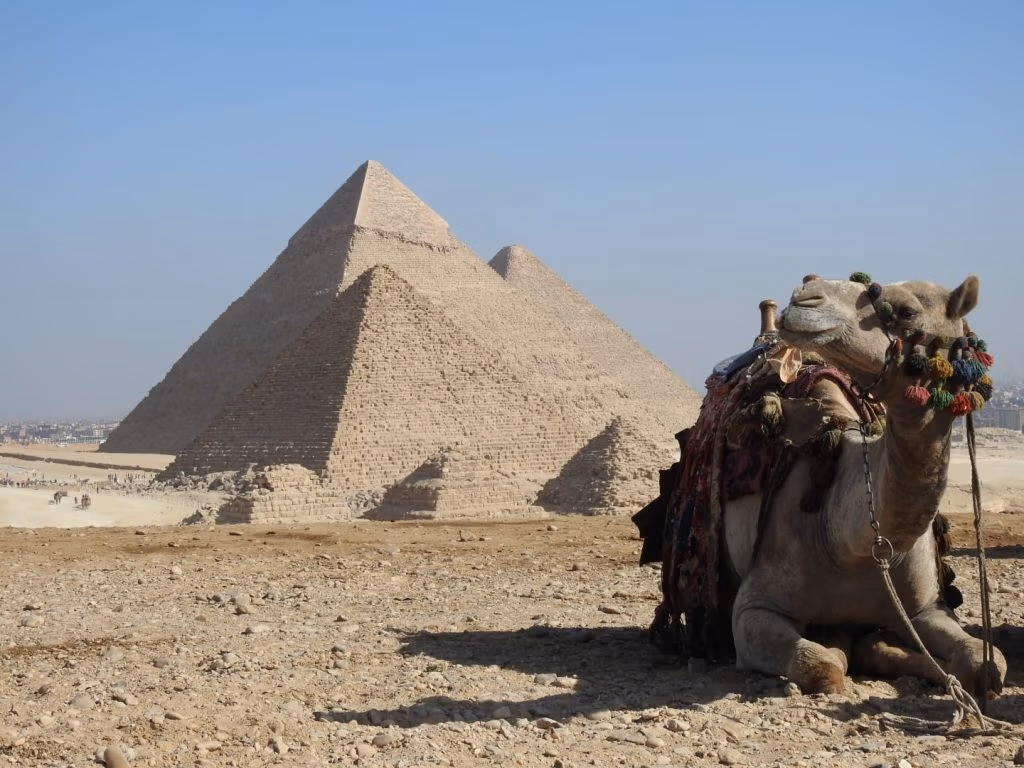 Visit The Pyramids with Caio Tours.