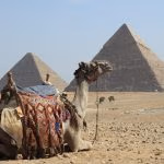 The Pyramids of Giza